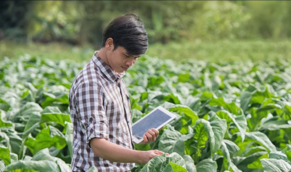 Digital Agriculture