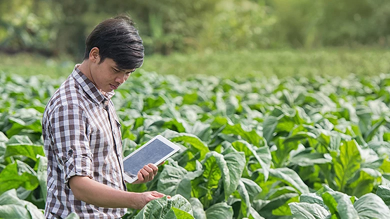 La agricultura digital, nuevas fronteras para el sistema alimentario