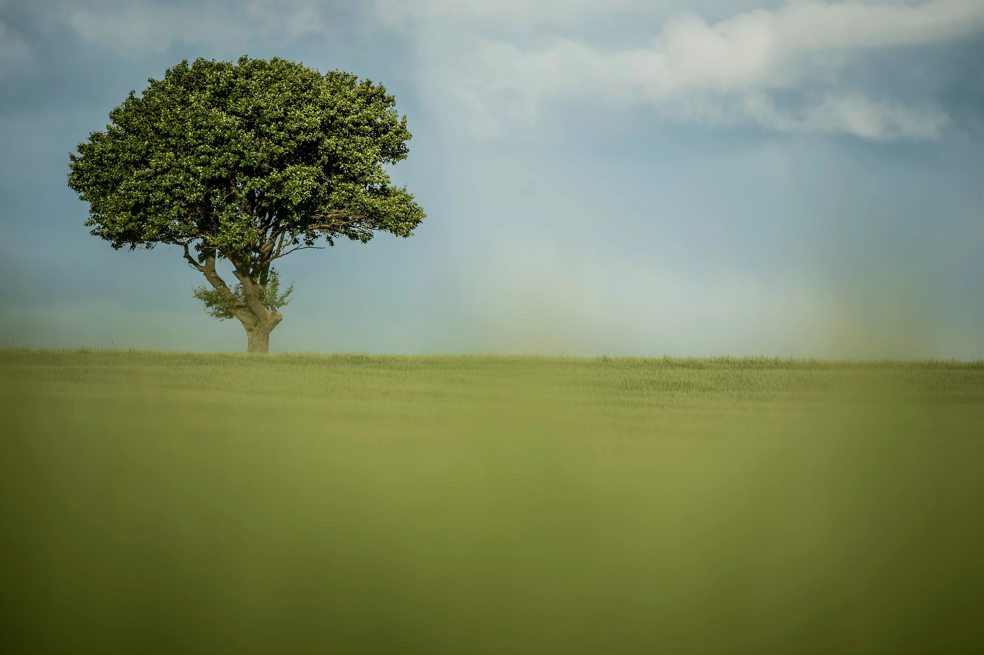 Digital Finance in Rural Europe