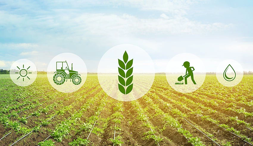 Image: Digital Agriculture