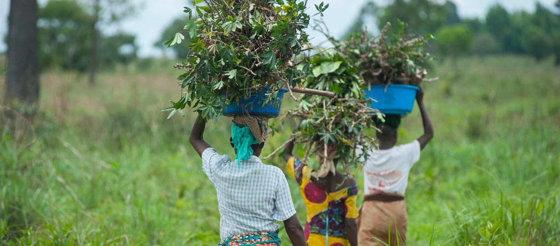 Financing options to help smallholder farmers prepare for disaster risks in DRC 