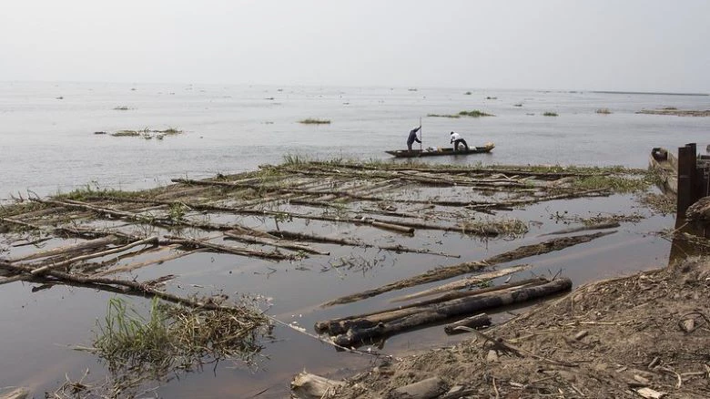 Timber is floated on Congo river to wood depot near Kinshasa.