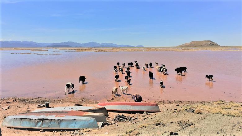 Lake near Oruro, Bolivia