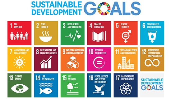 Implementing the 2030 Agenda: From Commitment to Action