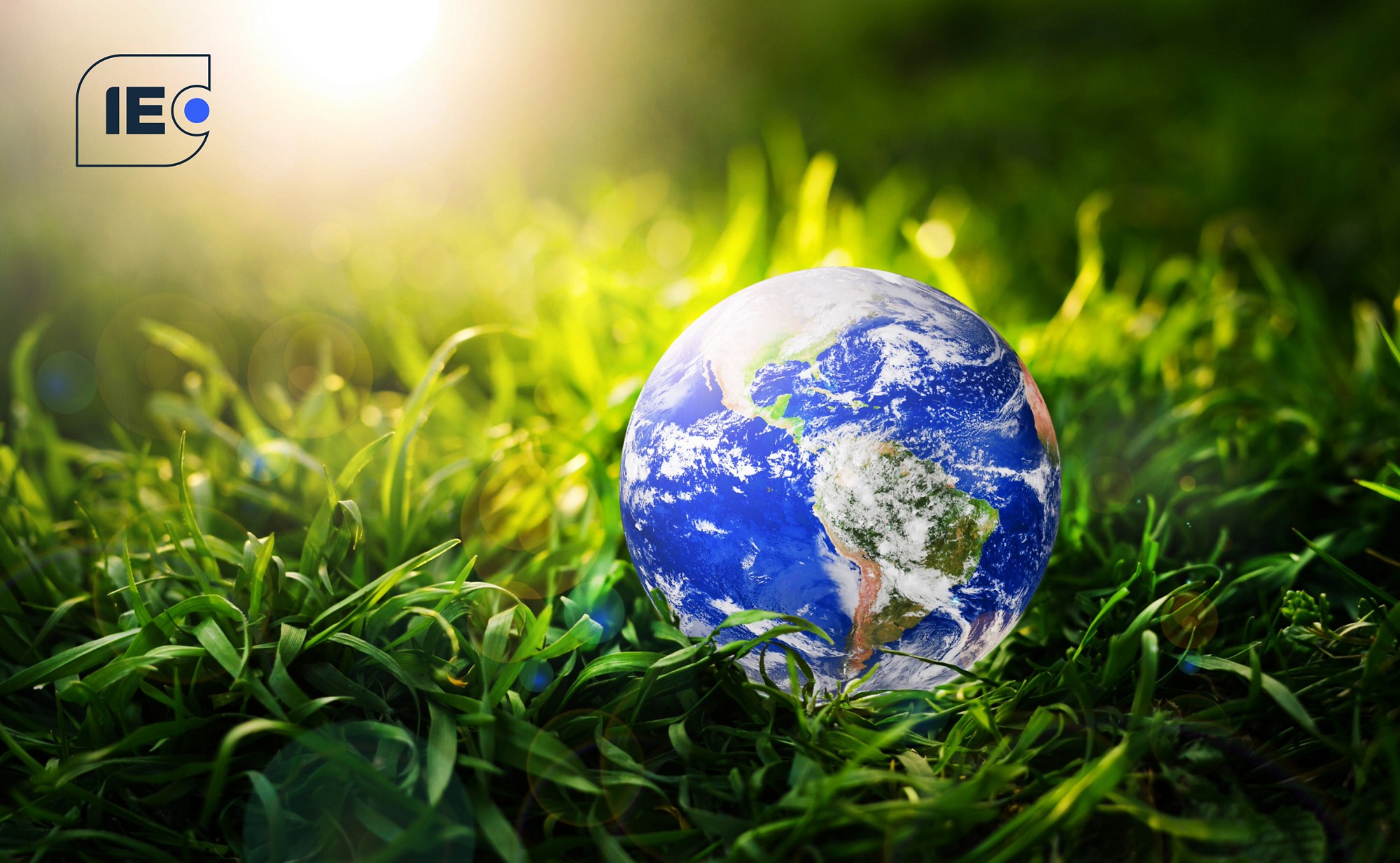 Earth Day Blog 2025