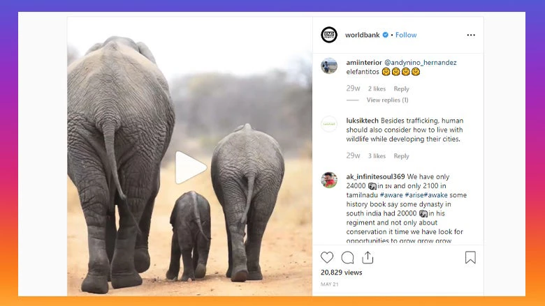 Instagram post showing a video of a family of elephants. 