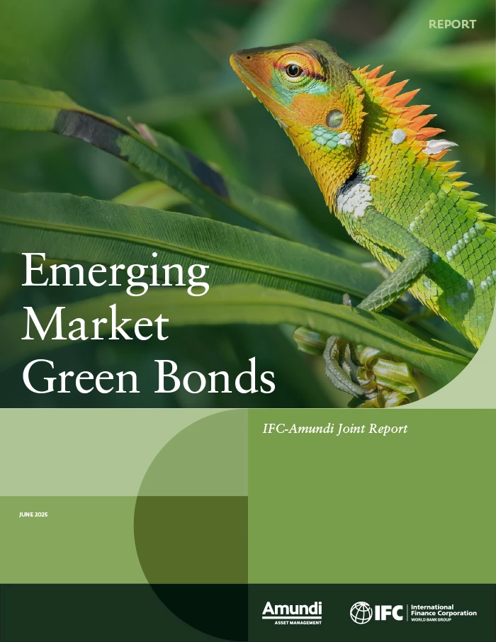 Report cover