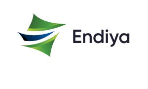 Logo of Endiya II company. Link to the Endiya II website.