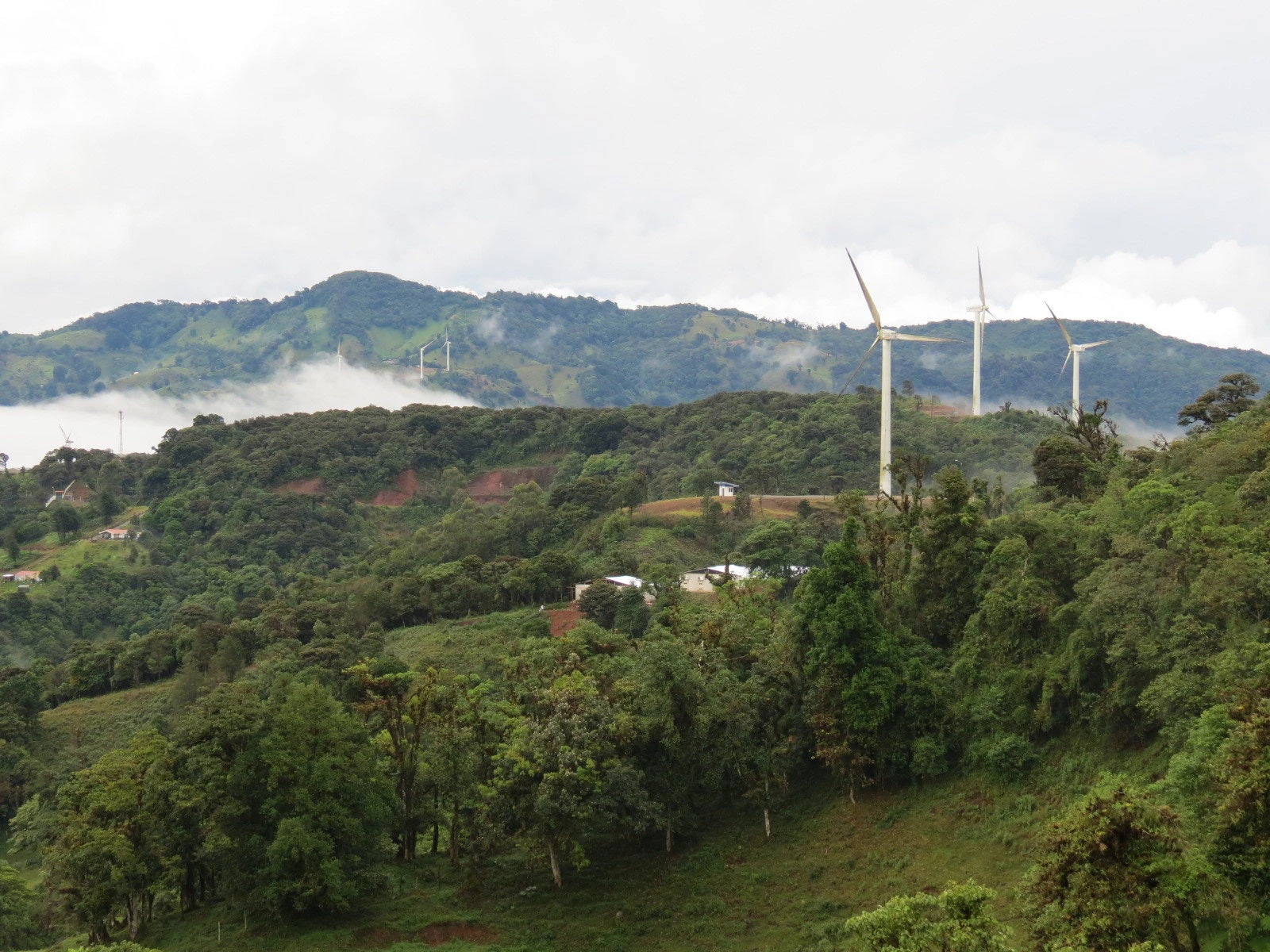 La crisis climática en América Latina y el Caribe no desaparecerá. Como la pandemia de Covid-19, el clima afecta más a los más vulnerables en la región. Es posible y necesaria una recuperación verde en la región. 