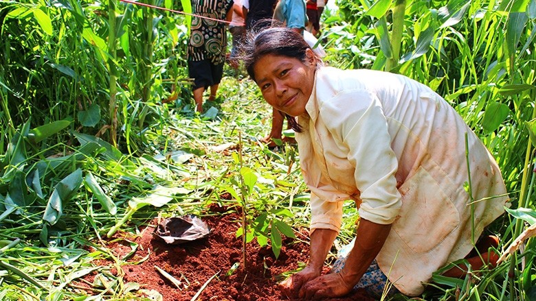 Participation of indigenous communities