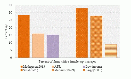  Madagascar performs well in female participation at the upper levels of decision making