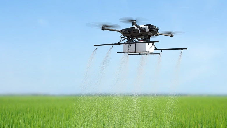 Drone spraying fertilizer on vegetable green plants, Agriculture technology, Farm automation.