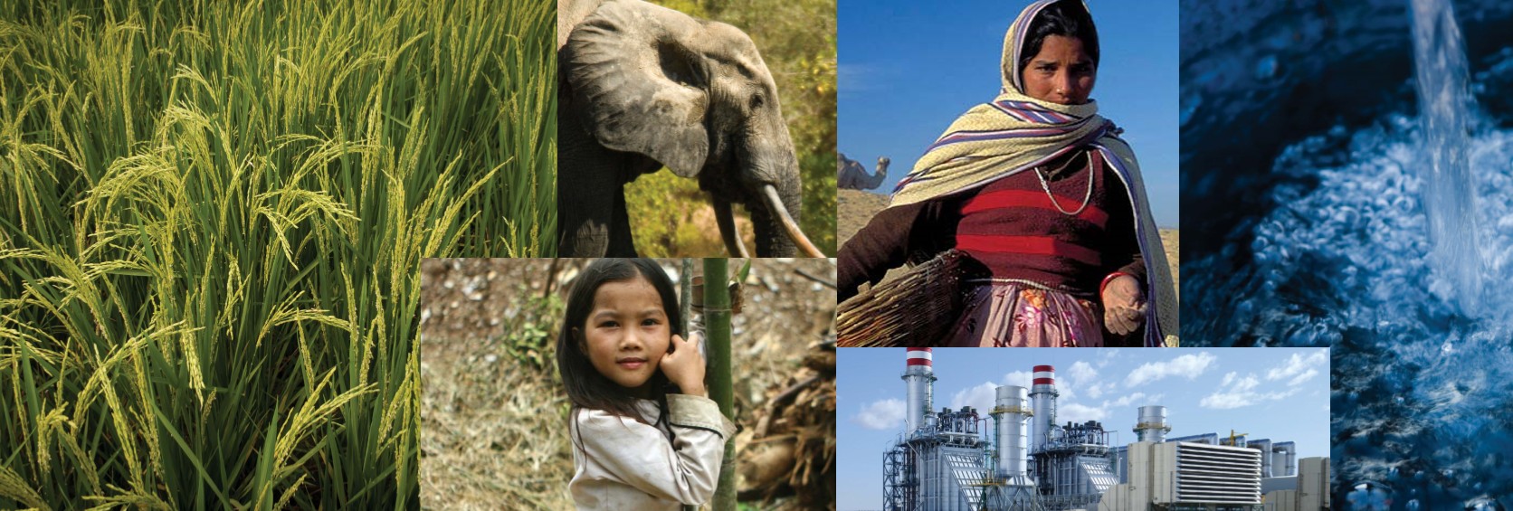 Environmental and Social Framework: Draft Guidance Notes for Borrowers