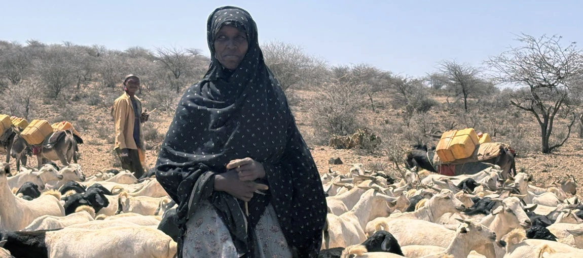 Where resilience is a way of life and means progress: Ethiopia's Somali Region