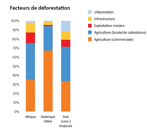 Facteurs de déforestation