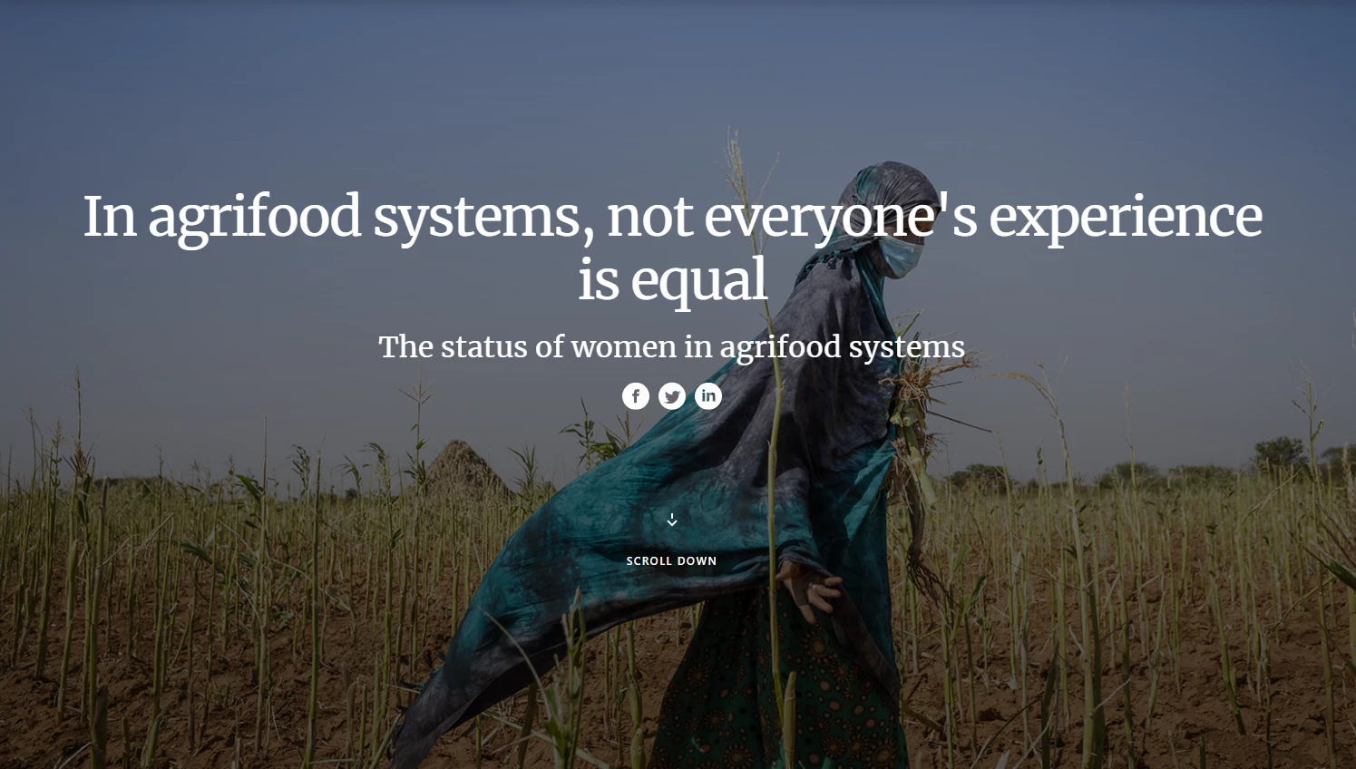 Food and Agriculture Organization The Status of women in agrifood systems