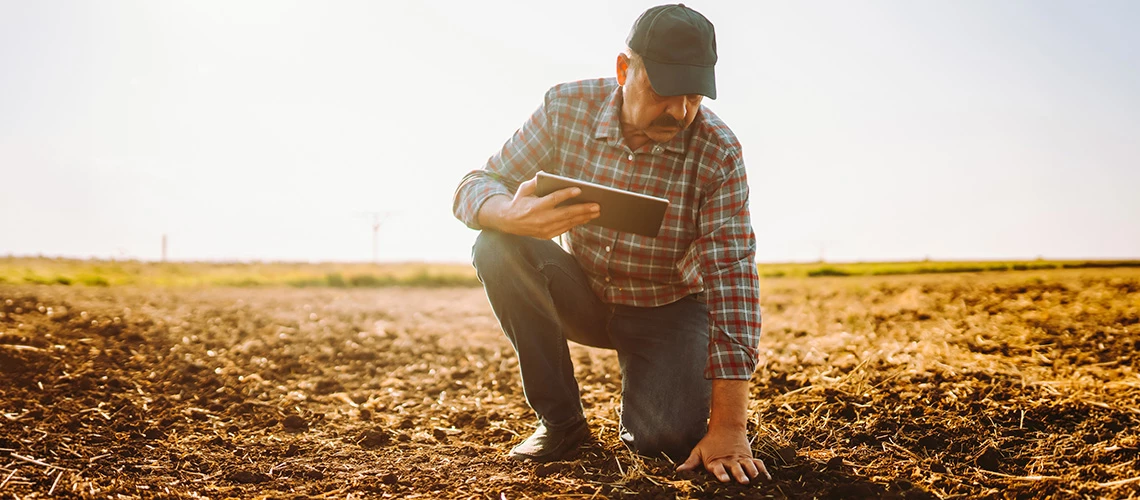 From the ground up: How land rights drive jobs and growth