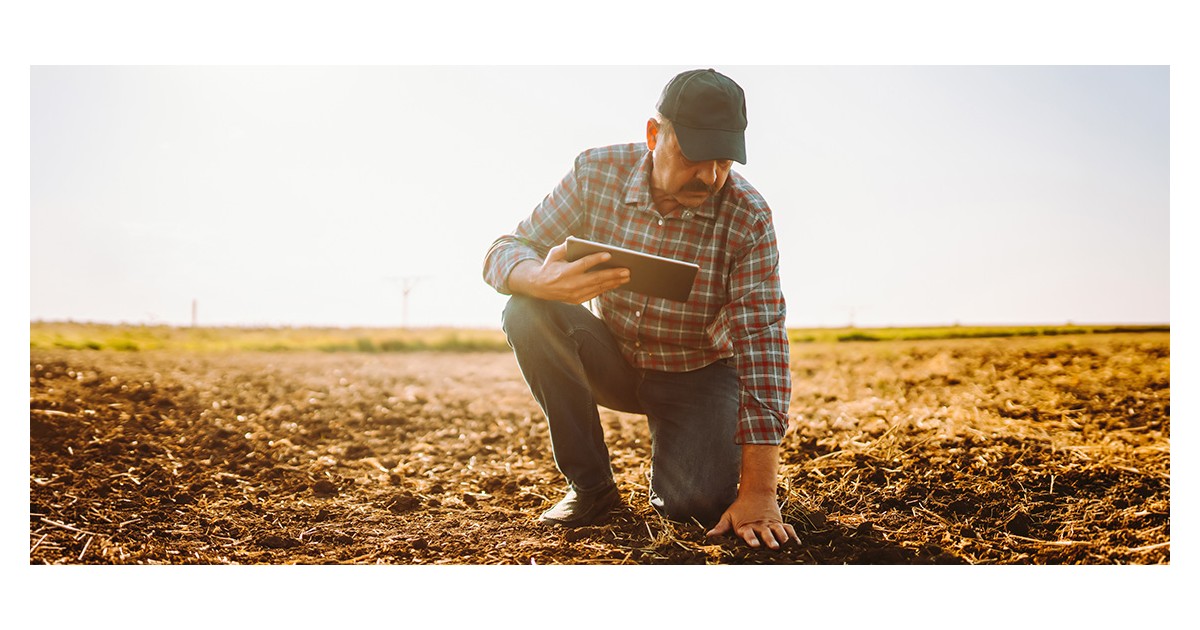 From the ground up: How land rights drive jobs and growth