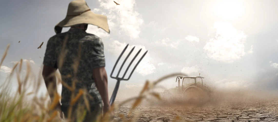 When heat rises, farmers shift gears: How extreme temperatures are reshaping agricultural input use decisions in West Africa