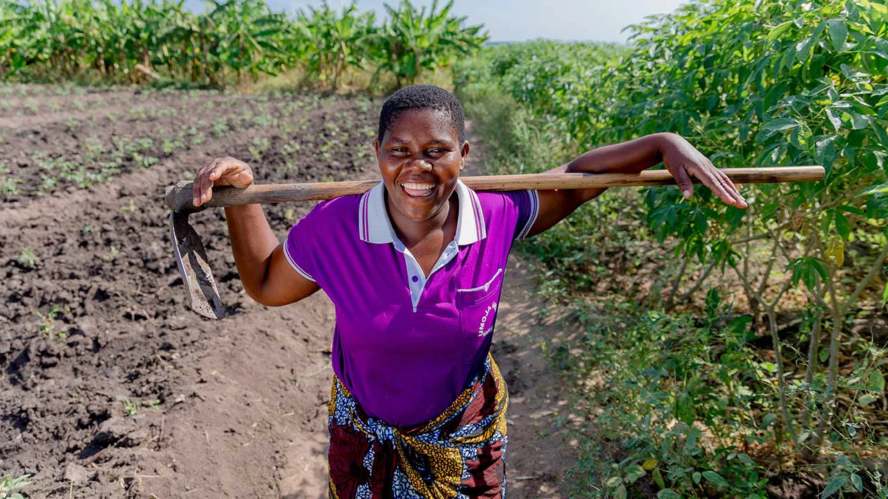 Cover Image: IFC Fall Investor Newsletter