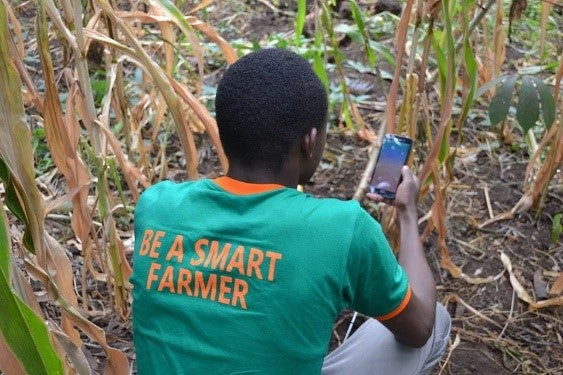 A local farmer utilizing the Ujuzi Kilimo sensors to collect data.