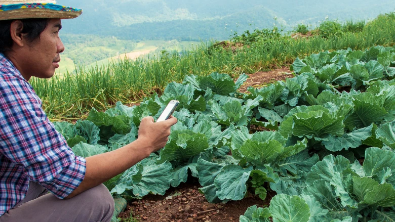 Farmer rents a tractor using a mobile-phone app developed in Kenya