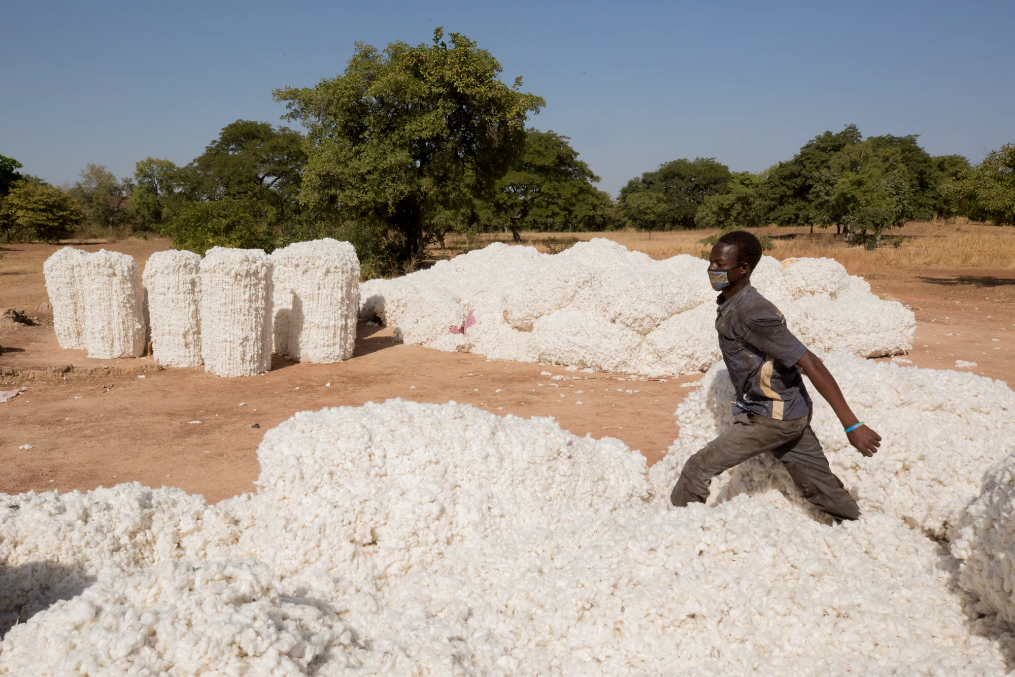 Farmers preparing to weigh their cotton on scales to be sold to Sofitex in Koumbia Village, Burkina Faso. Photo: Dominic Chavez/IFC