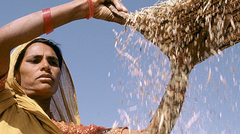 Feeding South Asia in Times of Crisis: Building Resilient Agriculture Supply Chains  