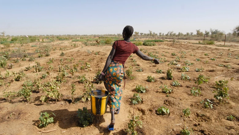 When disasters strike farms, what can protect farmers and lenders?
