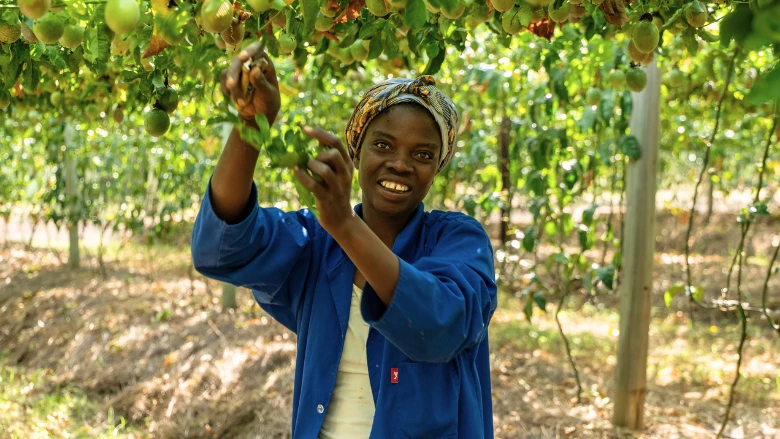 As agricultural producers, workers, and consumers, women pay a higher price for tariffs