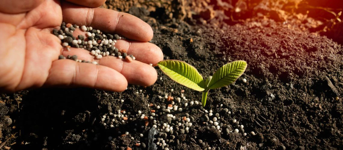 La paradoja del nitrógeno: Todo lo dulce tiene su lado amargo