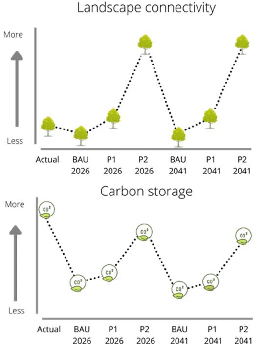 Figure 3. Comparison of business as usual (BAU) scenario, Perspective 1 (P1) and 2 (P2). 