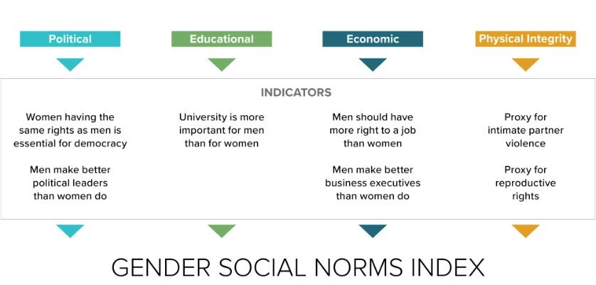 Dimensions and indicators of the Gender Social Norms Index