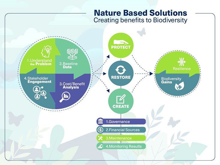 Nature-based Solutions For Resilient Cities And Restoring Local ...