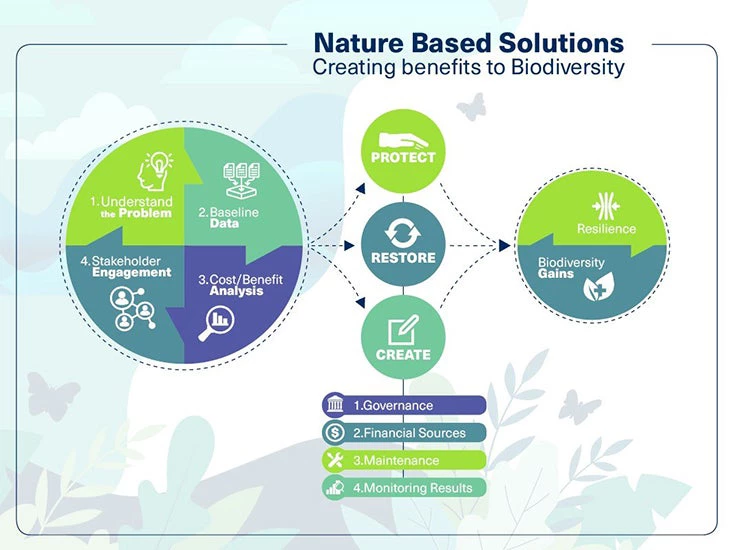 Infographic showing nature-based solutions in cities.