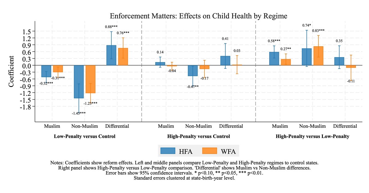 Enforcement Matters: How Nigeria’s Sharia Reform Created Winners and Losers: Guest Post by Hardi Ahmed