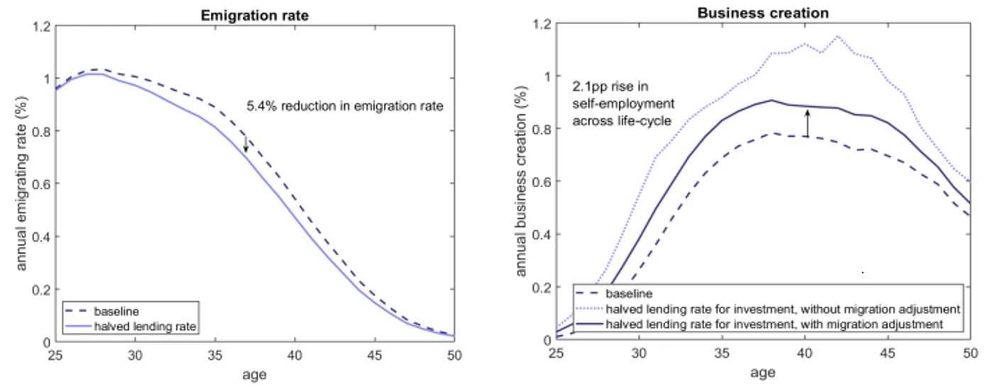 Figure 3: Simulated effects of a decrease in the lending rate for self-employment and entrepreneurship