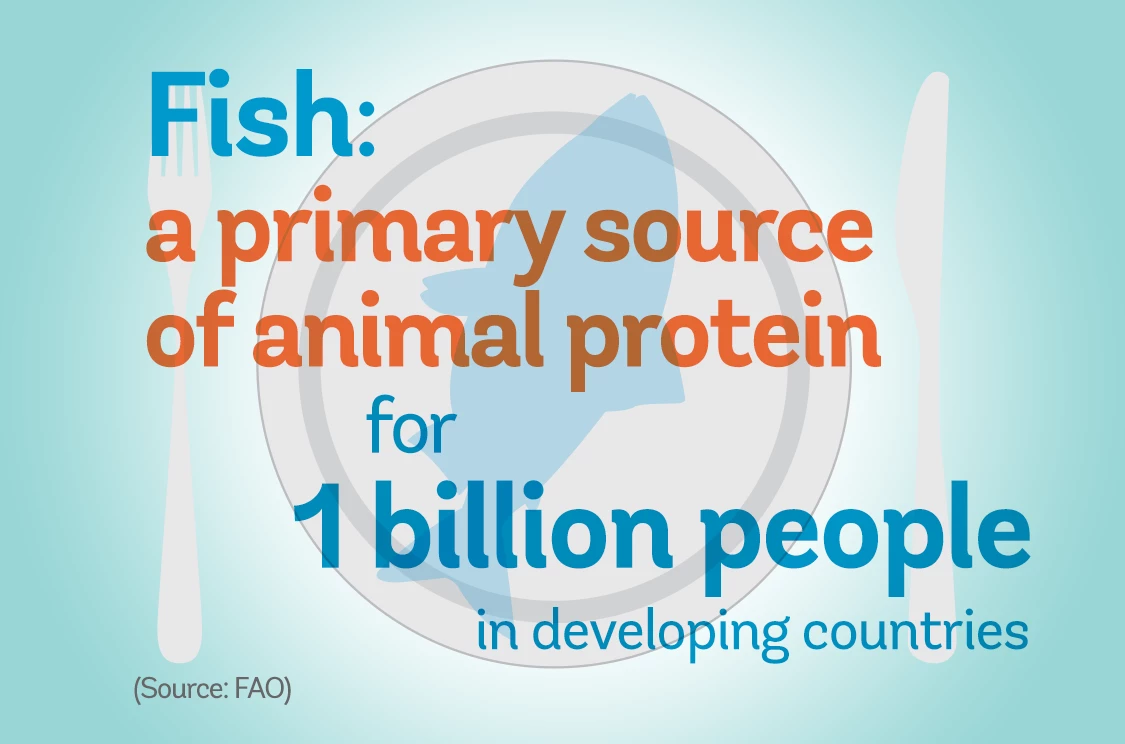 Fish is source of protein for 1 billion people