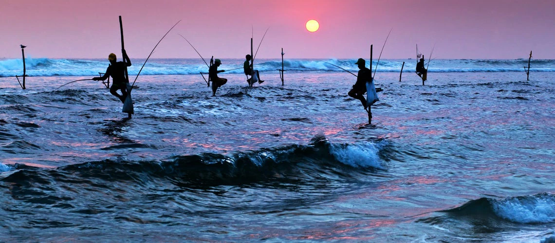 Silhouettes of the traditional stilt fishermen at sunset near Galle in Sri Lanka