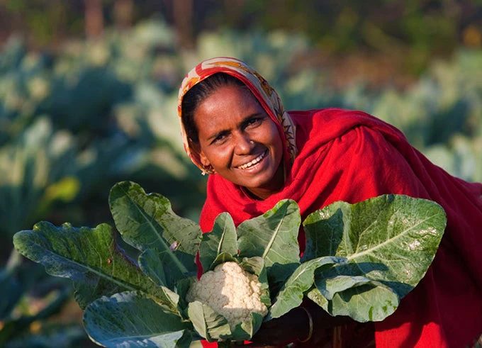 Five-takeaways-for-better-nutrition-in-south-asia-and-beyond-blog