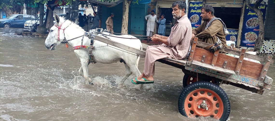 A mule (donkey) cart in a flash floods water in old city area in Pakistan. | © shutterstock.com
