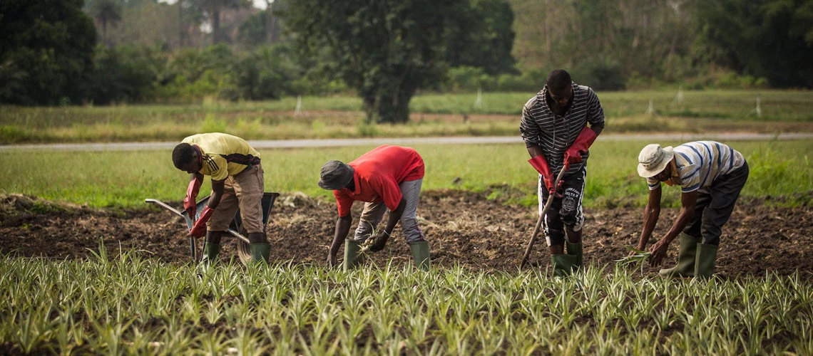 The Persistent Food Crisis and Inflation in the West Africa Region.