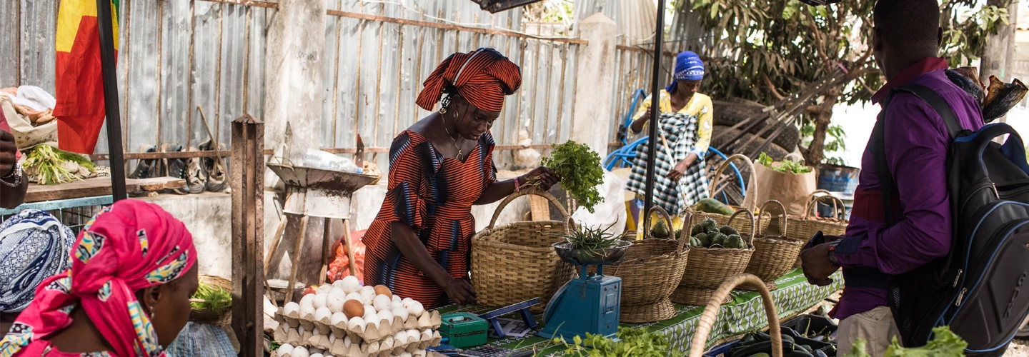 Ensuring food security in Senegal a critical part of the adaptive social protection (ASP) program in the Sahel region.