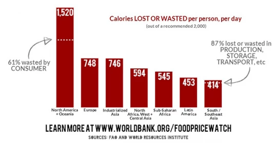 Food Lost and Wasted by Region
