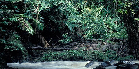 Curt Carnemark/World Bank