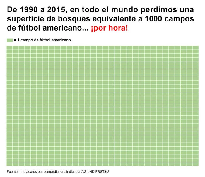 De 1990 a 2015, en todo el mundo perdimos una superficie de bosques equivalente a 1000 campos de fútbol americano... ¡por hora! 