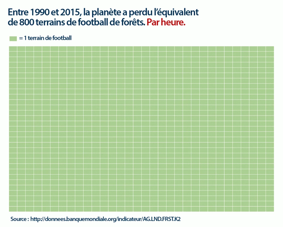 De 1990 a 2015, en todo el mundo perdimos una superficie de bosques equivalente a 1000 campos de fútbol americano... ¡por hora! 