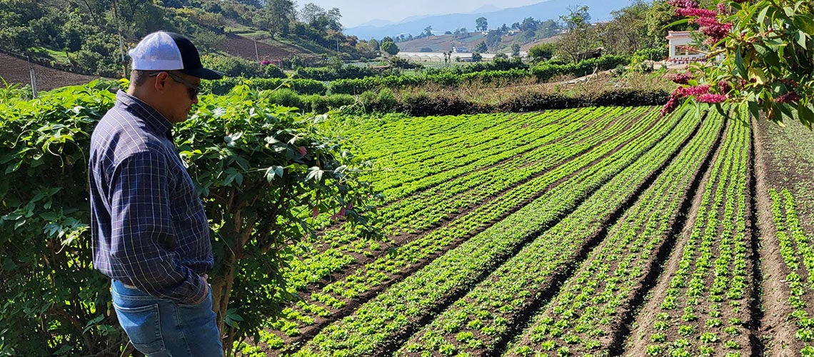 Agricultor en La Esperanza, Intibucá, Honduras 