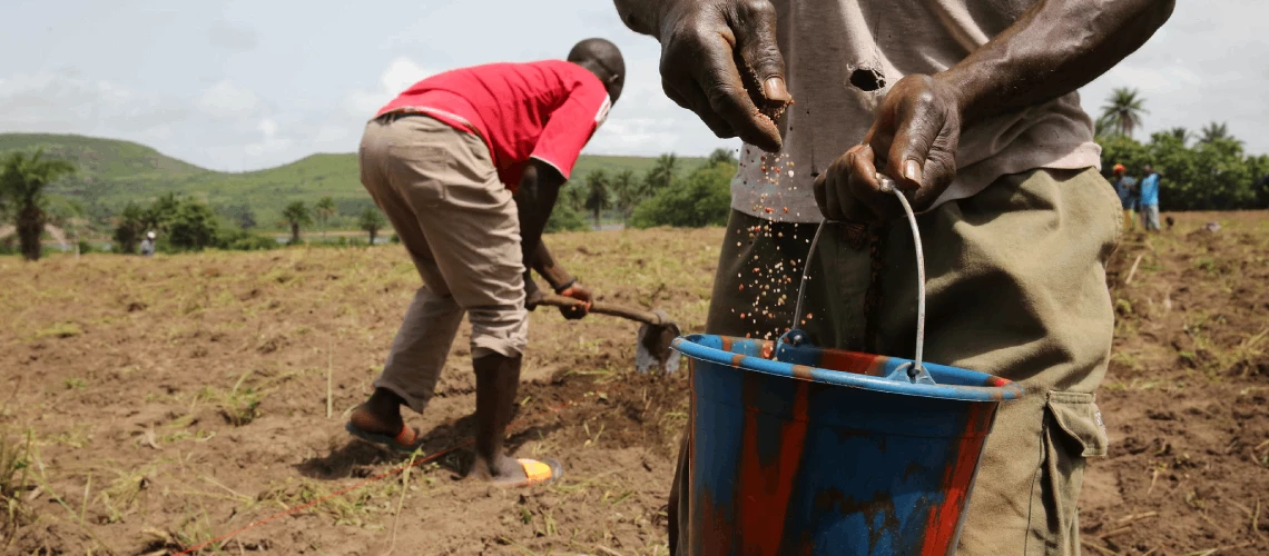 Farmers working in their fields.