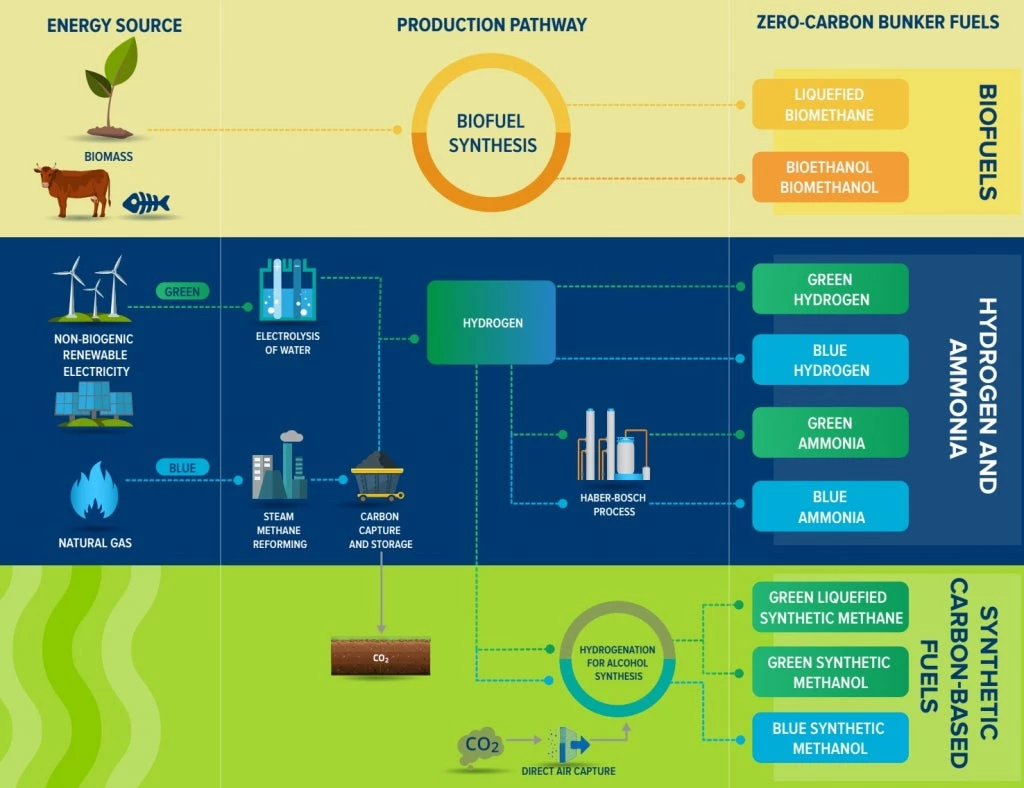 Infographic: fuel options